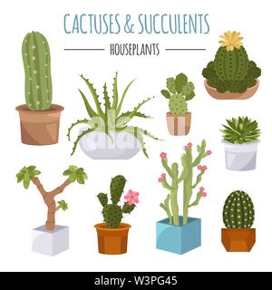 Cactuses and succulents icon set. Houseplants. Vector illustration Stock Vector