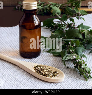Valuable medicinal plant-motherwort with flowers and leaves on a white background. Next comes the plant in dried and crushed form for the preparation Stock Photo