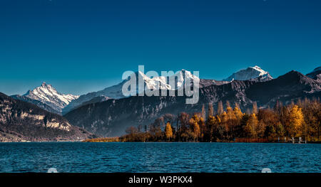 A golden autumn day in the Bernese Oberland with Bernese Alps, Kanderdelta and Lake of Thoune. Stock Photo