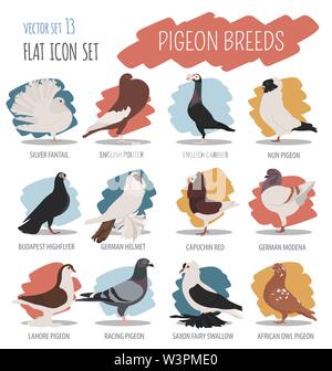 Poultry farming. Pigeon breeds icon set. Flat design. Vector illustration Stock Vector