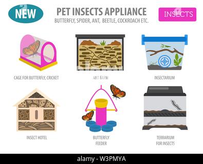 Pet appliance icon set flat style isolated on white. Insects care collection. Create own infographic about beetle, bug, butterfly, stick, mantis, spid Stock Vector