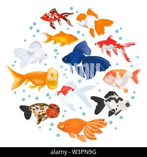Freshwater aquarium fishes breeds icon set flat style isolated on white. Goldfish. Create own infographic about pets. Vector illustration Stock Vector