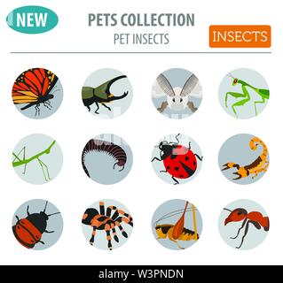 Pet insects breeds icon set flat style isolated on white. House keeping ...