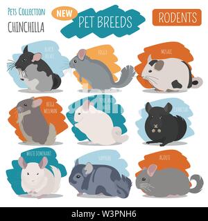 Vector Thin Line Breed Cats Icons Set. Cute Outline Animal Illustrations  Pet Design Stock Vector - Illustration of chinchilla, element: 113570537