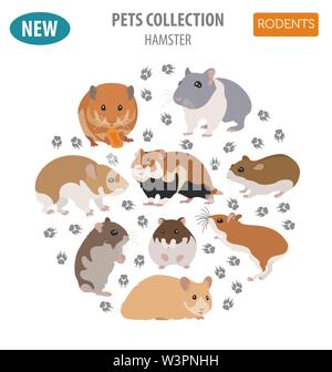 Hamster breeds icon set flat style isolated on white. Pet rodents collection. Create own infographic about pets. Vector illustration Stock Vector