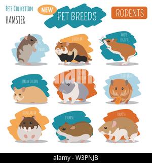 Hamster breeds icon set flat style isolated on white. Pet rodents collection. Create own infographic about pets. Vector illustration Stock Vector