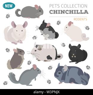 Vector Thin Line Breed Cats Icons Set. Cute Outline Animal Illustrations  Pet Design Stock Vector - Illustration of chinchilla, element: 113570537