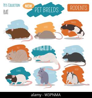 rat-breeds-icon-set-flat-style-isolated-on-white-pet-rodents