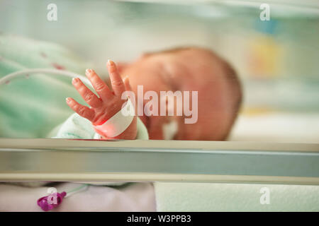 Heart rate monitor and hand of a baby infant in ICU Stock Photo