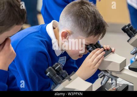 Children participating in Science Stock Photo