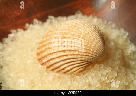 Macro of sea shell on pile of salt crystals in wooden bowl. Spa and wellness therapy Stock Photo