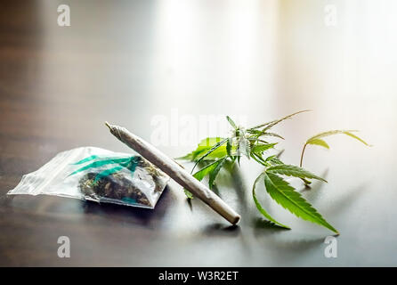 Cannabis sativa flower buds and leafs, with a rolled weed joint. On wooden background Stock Photo