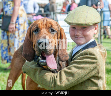 Festival of Hunting, Peterborough, UK. 17th July 2019. The annual Festival of Hunting is a one-day event boasting the greatest gathering of hounds in the country.  Harriers, Beagles, Basset Hounds, Draghounds and Bloodhounds will be competing along with displays of fell hounds, coursing dogs, and the popular Sealey Terriers.  Credit: Matt Limb OBE/Alamy Live News Stock Photo