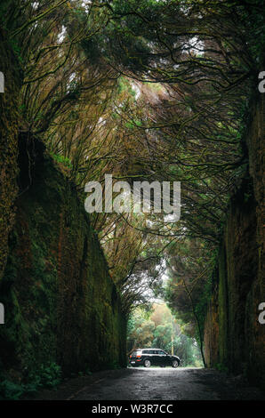 Narrow road with car through rocks in magic misty forest of Anaga Rural Park, Tenerife, Canary Islands, Spain Stock Photo