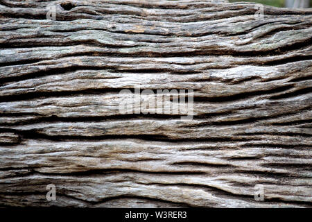 Abstract detail of weathered and worn wood Stock Photo