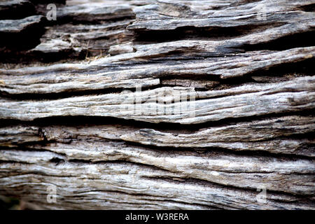 Abstract detail of weathered and worn wood Stock Photo
