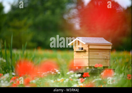 Bee House Hive with poppy and wildflower foreground during British summer and springtime Stock Photo