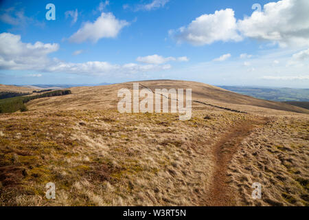 Banks of Dollar to Whitewisp Hill – FotO