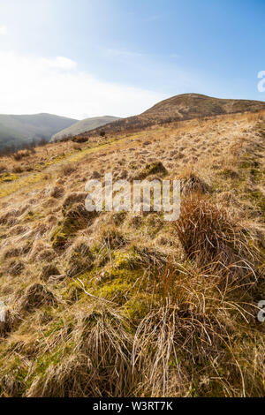 Looking up to Ben Shee a small hill near Glen Devon, Scotland Stock Photo