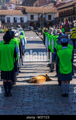 Peruvian dog sleeping on the cobbled street surrounded by a group of school children on parade in the Plaza de Armas, Main square, Cusco, Peru, South Stock Photo
