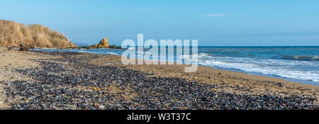Sea coast dotted with mussel shells on the seashore near Odessa, Ukraine Stock Photo