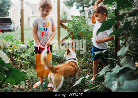 Young girl and boy standing in backyard garden with Corgi dog Stock Photo