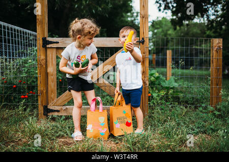 Young boy and girl holding fresh veggies from back yard garden Stock Photo