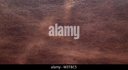 Seamless brown leather texture, panorama background. Stock Photo