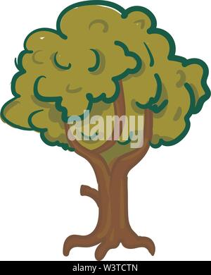 A big and shady tree, vector, color drawing or illustration. Stock Vector