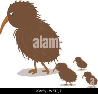 A kiwi bird with a 3 kiwi chicks, vector, color drawing or illustration. Stock Vector