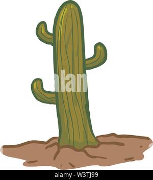 Cactus growing in land, illustration, vector on white background. Stock Vector