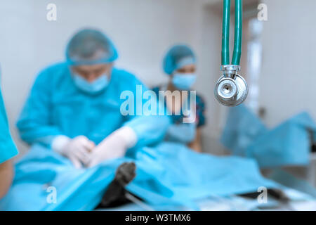 An experienced veterinarian in a mask and gown operates a pet dog in a sterile operating room with an assistant and an anesthesiologist. Tinted in blu Stock Photo