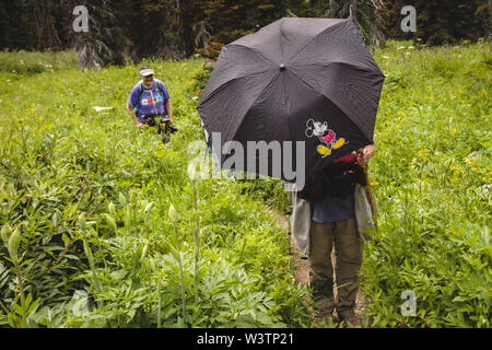 Glacier National Park, Montana, USA. 16th July, 2019. A woman uses a Mickey Mouse umbrella during a rain shower while hiking with her women's hiking group on Pitamakan Pass Trail in East Glacier in Glacier National Park. Credit: Kent Meireis/ZUMA Wire/Alamy Live News Stock Photo