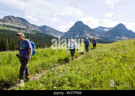 Glacier National Park, Montana, USA. 16th July, 2019. A group of women hikers near Cut Bank Campground on Pitamakan Pass Trail in East Glacier in Glacier National Park. Credit: Kent Meireis/ZUMA Wire/Alamy Live News Stock Photo