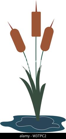 Water Reed Template Water reed plant on swamp, lake and river. Vector illustration Stock ...