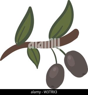 Two silver olives, illustration, vector on white background. Stock Vector