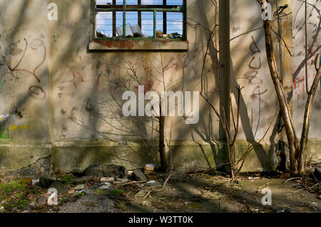 Window in a derelict factory building (now demolished) and tree shadows in bright sunshine in Sheffield, UK. Stock Photo