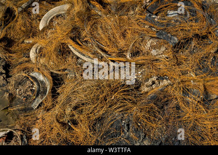 Discarded car tyres and their rusted steel linings dumped on waste ground Stock Photo