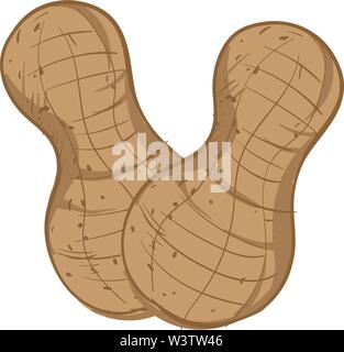 A pair of peanuts in shell, illustration, vector on white background. Stock Vector