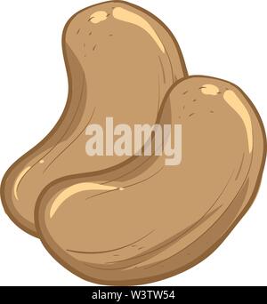 A pair of cashew nuts, illustration, vector on white background. Stock Vector