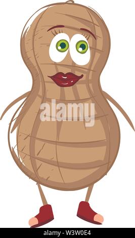 Cute peanut, illustration, vector on white background Stock Vector