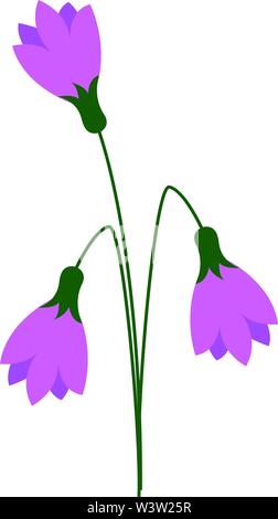 Purple snowdrops, illustration, vector on white background Stock Vector