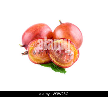 画材 Gooseberry Gooseberry-Invicta-
