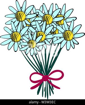 Bouquet of chamomile, illustration, vector on white background. Stock Vector