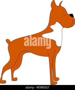 Boxer dog, illustration, vector on white background. Stock Vector