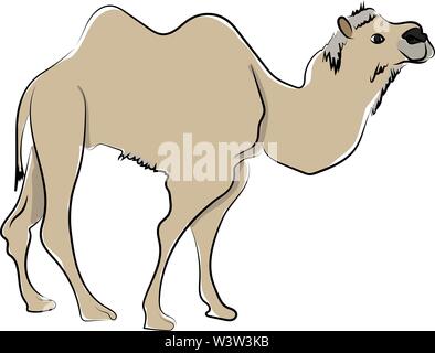 Camel in desert, illustration, vector on white background. Stock Vector