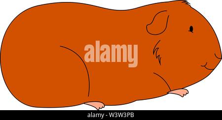 Orange fat cavy, illustration, vector on white background. Stock Vector