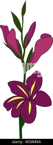 Purple gladiolus, illustration, vector on white background. Stock Vector