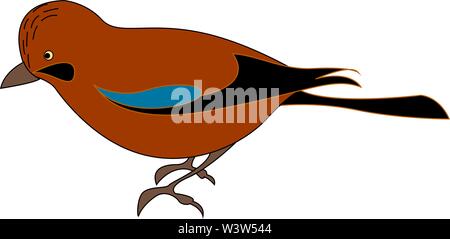 Red jay bird, illustration, vector on white background. Stock Vector