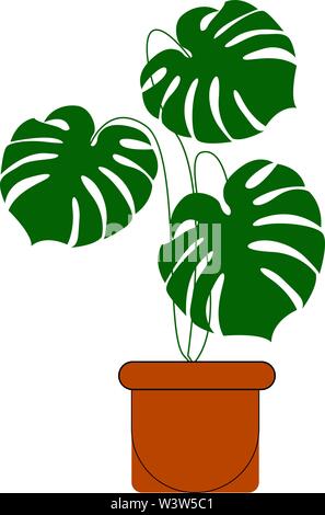 Monstera plant in a pot, illustration, vector on white background. Stock Vector